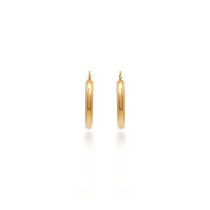 Yellow Gold Classic Hoop Earrings (Small)